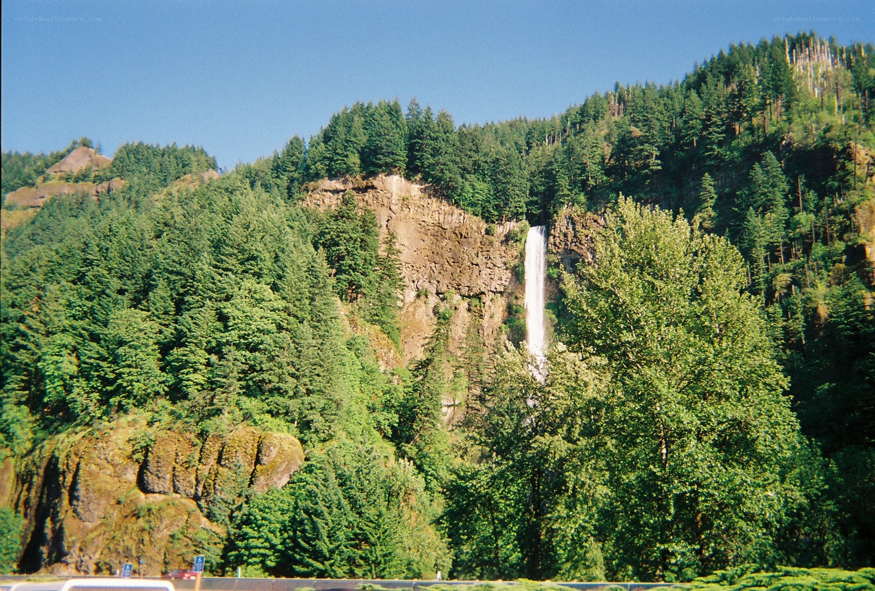 Waterfall in forested canyon