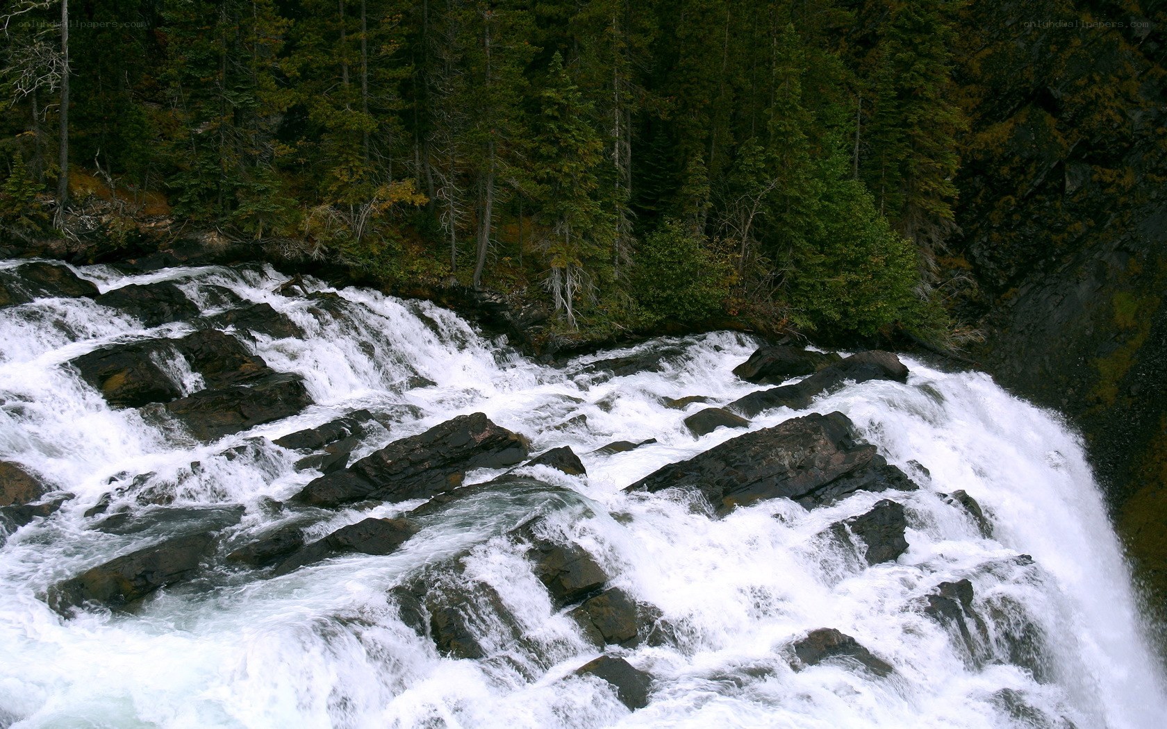 Waterfall in forested canyon
