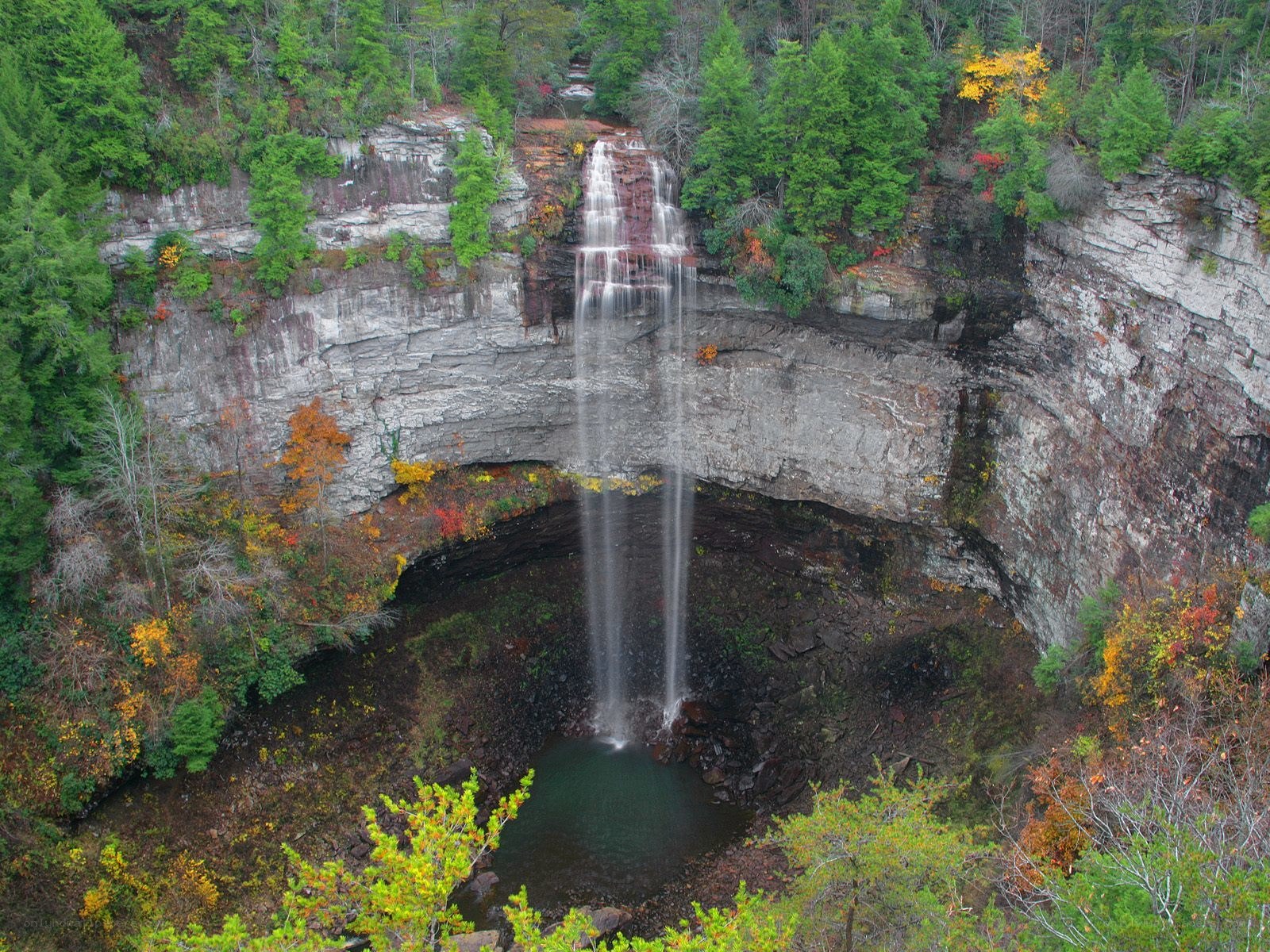 Waterfall in forested canyon