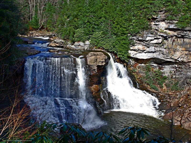 Waterfall in forested canyon