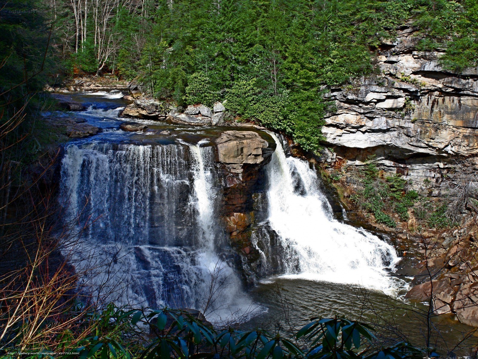 Waterfall in forested canyon