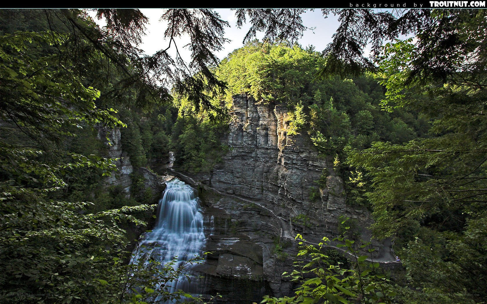 Waterfall in forested canyon