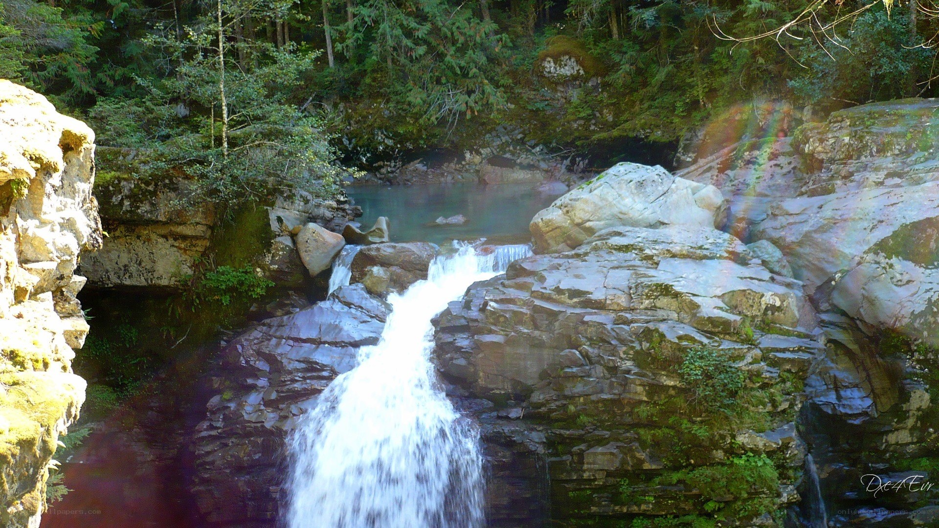 Waterfall in forested canyon