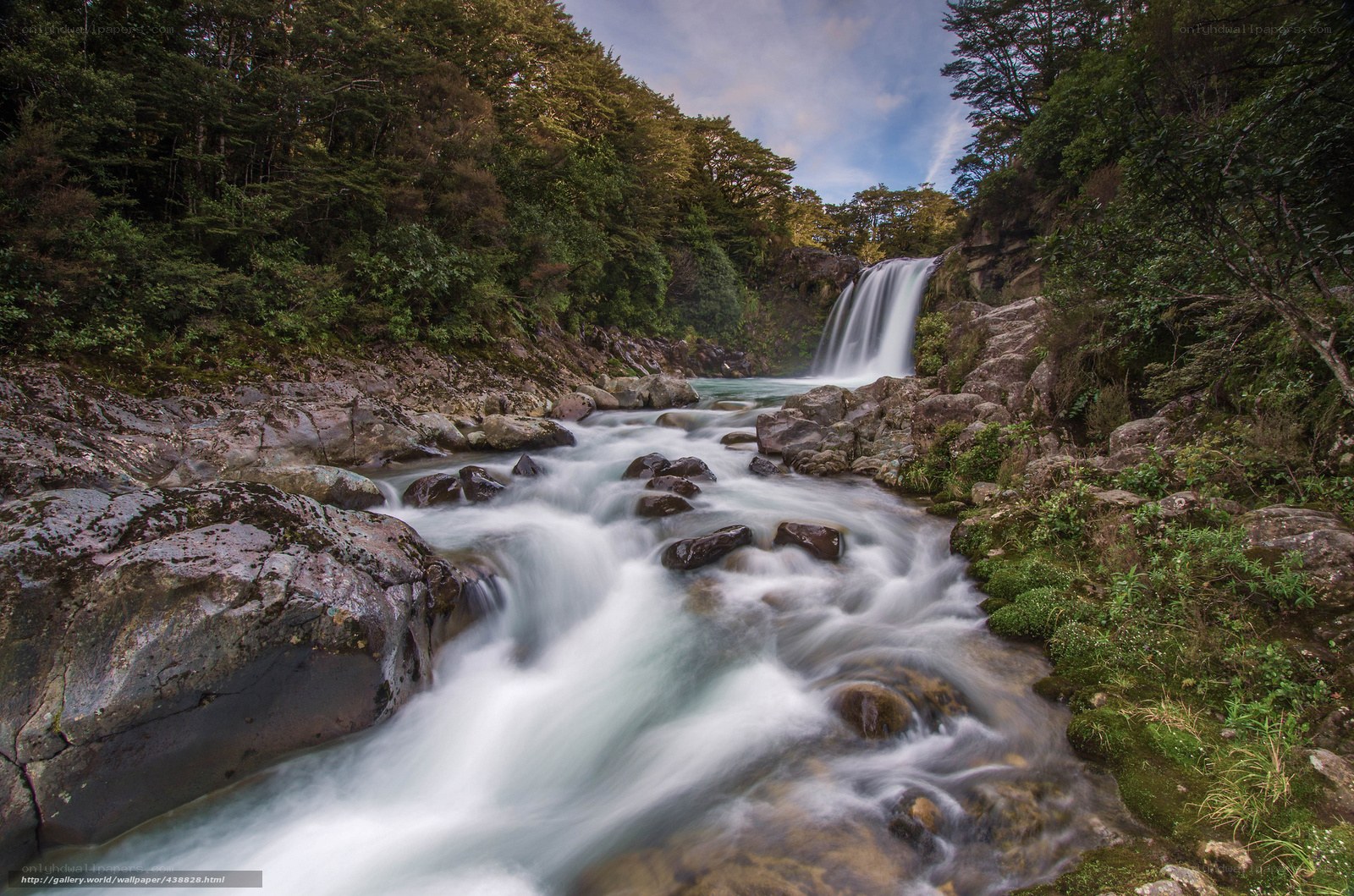 Waterfall in forested canyon