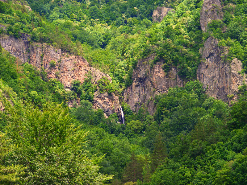 Waterfall in Forested Canyon — Green, Serene, Afternoon