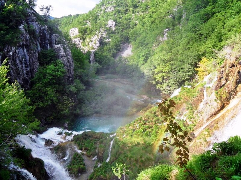 Waterfall in Forested Canyon — Green