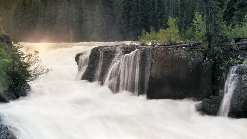 Waterfall in forested landscape