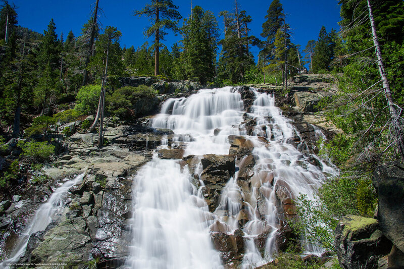 Waterfall in forested mountains
