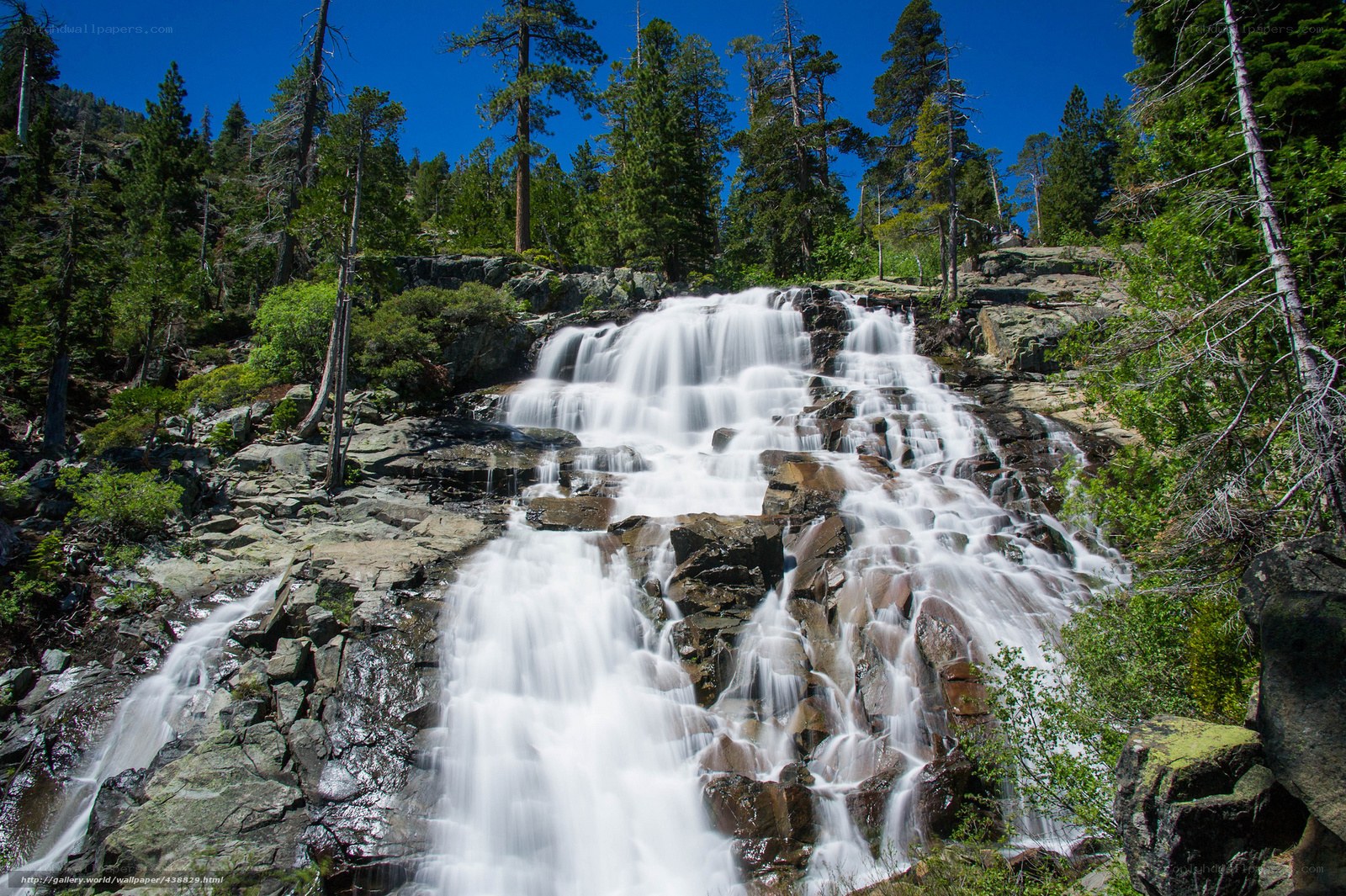Waterfall in forested mountains