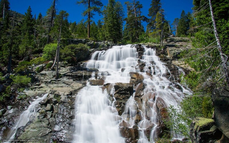Waterfall in forested mountains