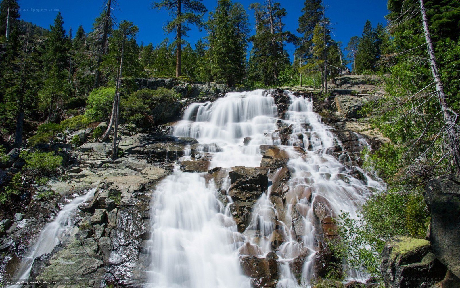 Waterfall in forested mountains