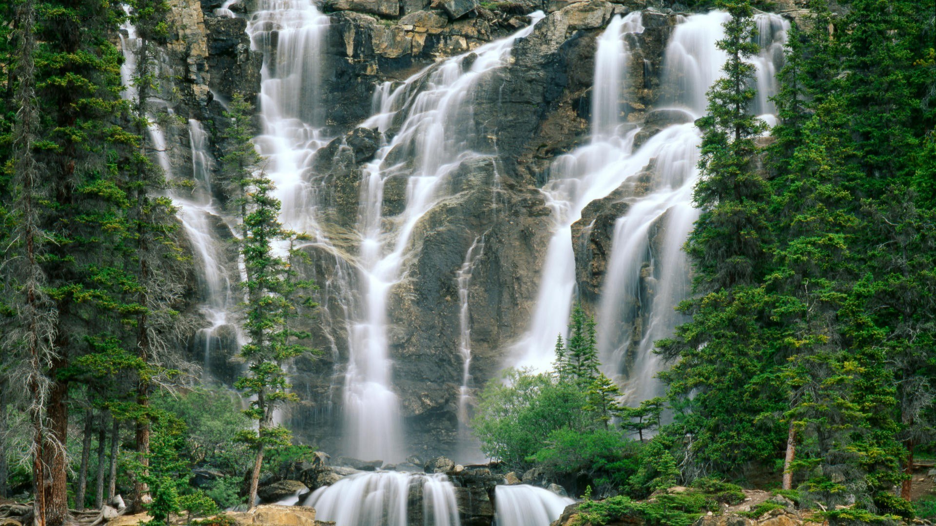 Waterfall in forested mountains