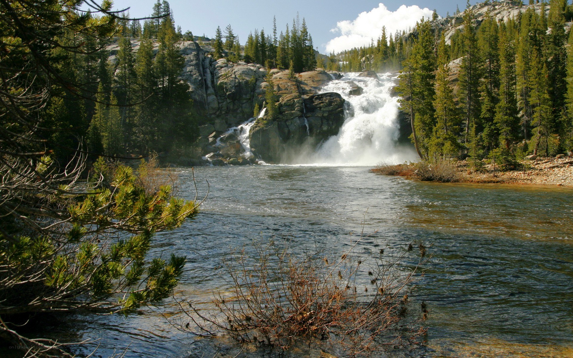 Waterfall in forested mountains