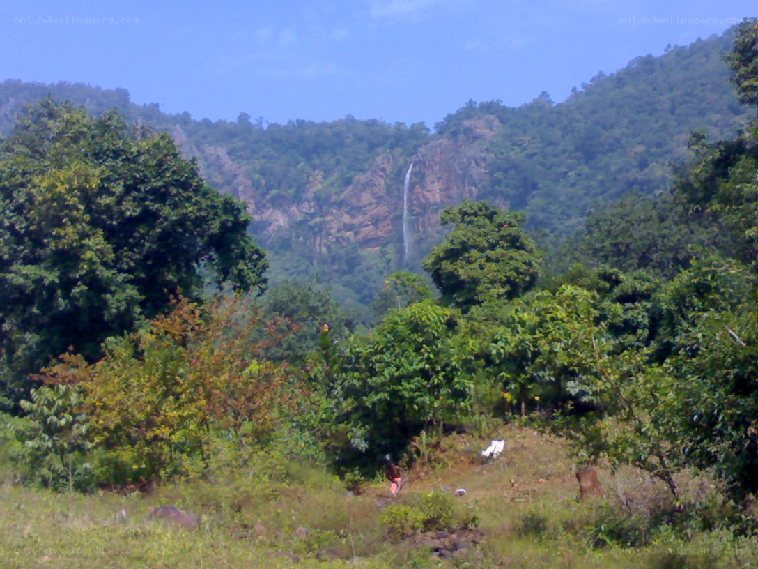 Waterfall in forested mountains