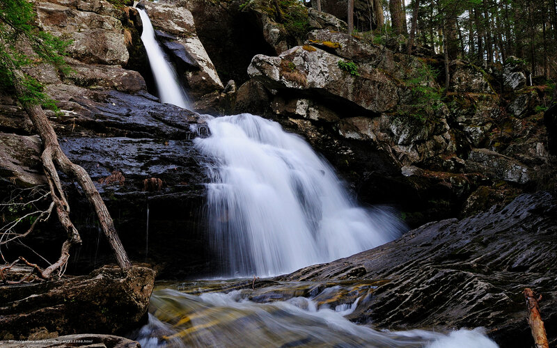 Waterfall in forested rocks