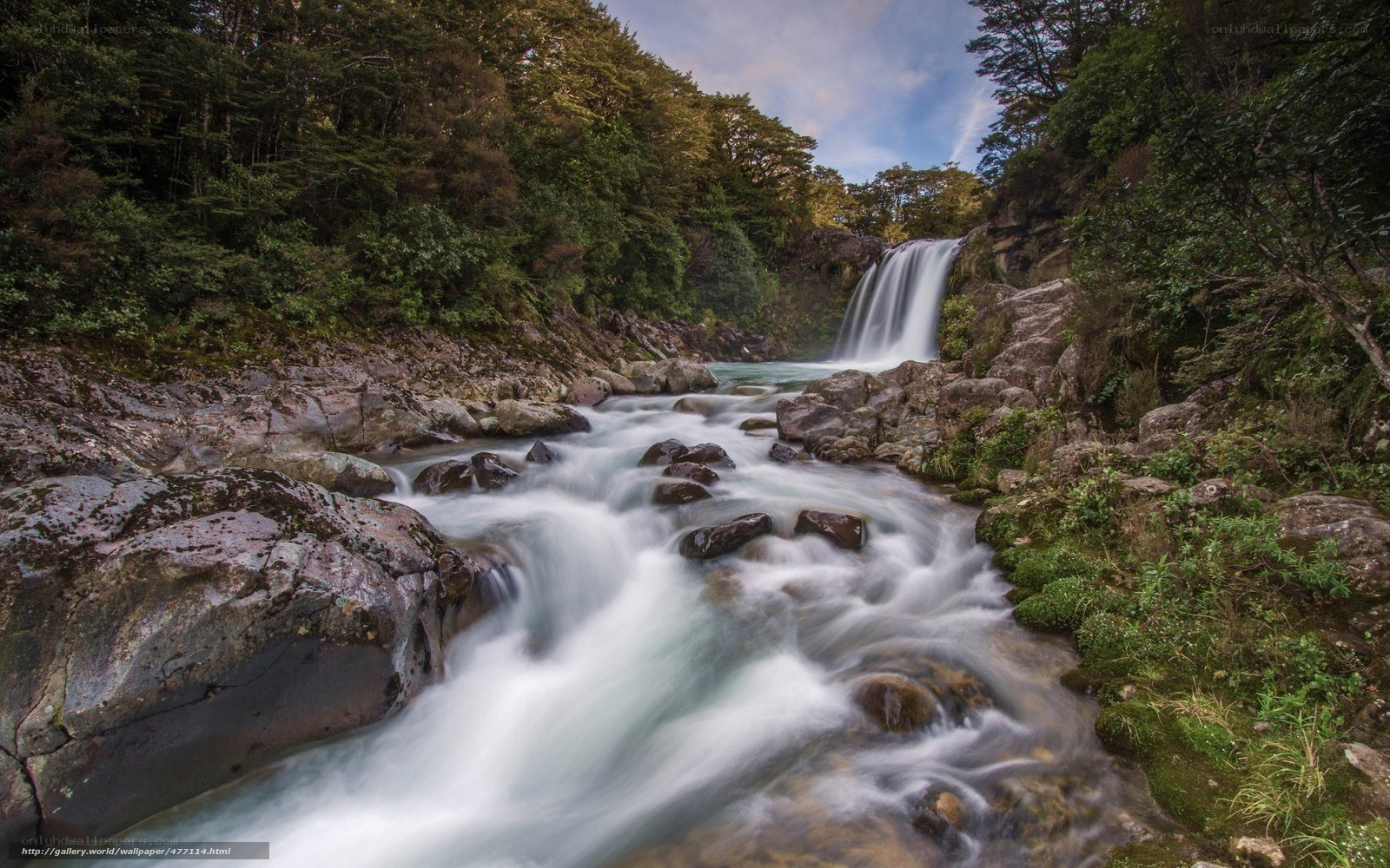 Waterfall in forested valley