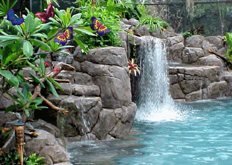 Waterfall in Garden — Green, Serene, Afternoon, Photograph, Butterflies