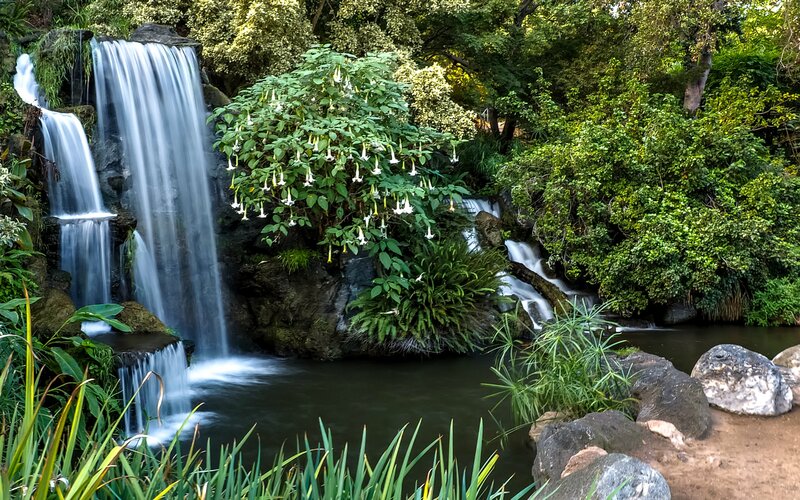 Waterfall in Garden — Green, Serene, Afternoon, Photograph, Plants, Rocks