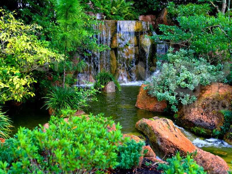 Waterfall in Garden — Green, Serene, Afternoon, Photograph, Plants