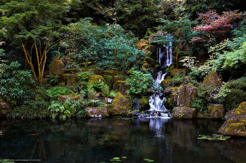 Waterfall in Garden — Green, Serene, Afternoon, Photograph, Pond