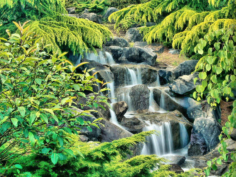 Waterfall in Garden — Green, Serene, Afternoon, Photograph, Rocks