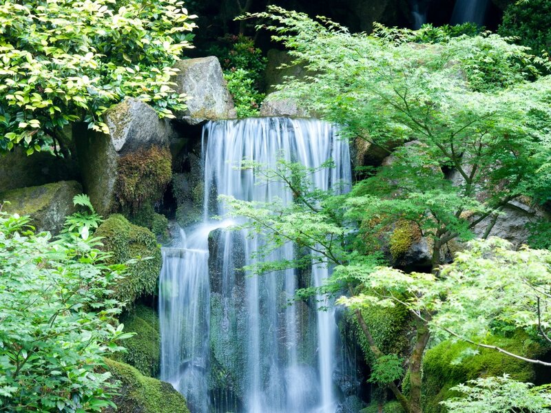 Waterfall in Garden — Green, Serene, Afternoon, Photograph, Trees, Rocks, Moss