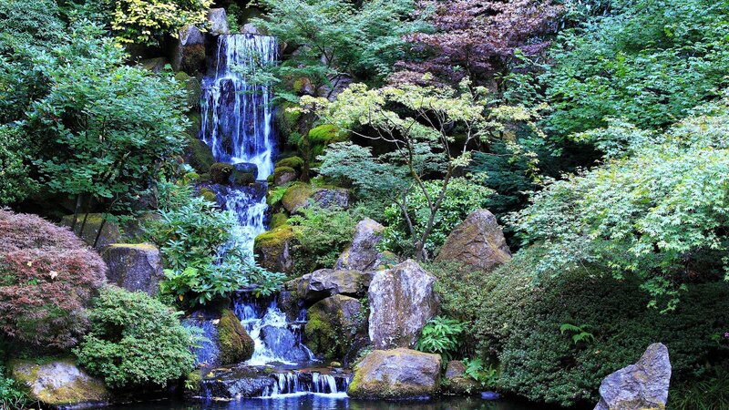 Waterfall in Garden — Green, Serene, Afternoon, Photograph, Trees, Rocks
