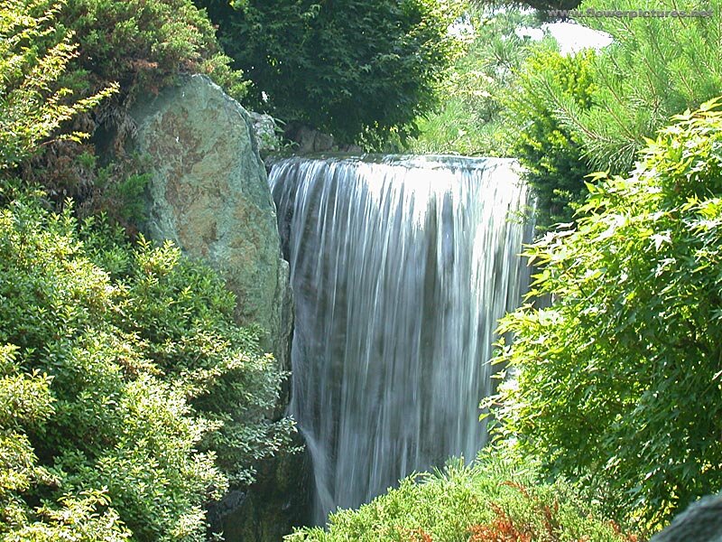Waterfall in Garden — Green, Serene, Afternoon