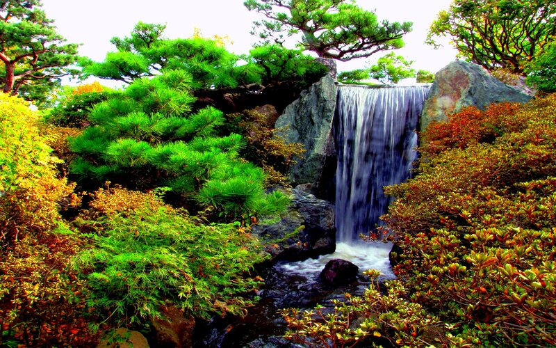 Waterfall in Garden — Green, Serene, Autumn