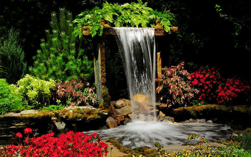 Waterfall in Garden — Green, Serene, Photograph, Plants, Flowers