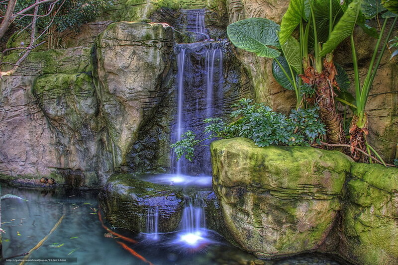 Waterfall in Garden — Green, Serene, Photograph, Plants, Rocks, Pool