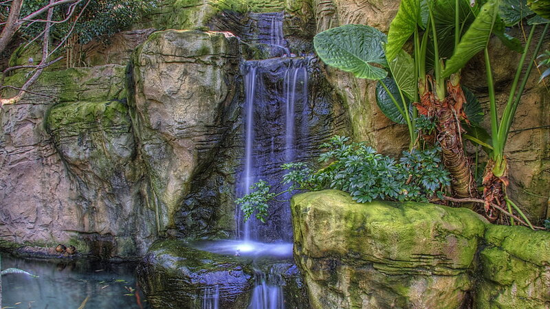 Waterfall in Garden — Green, Serene, Photograph, Plants, Rocks