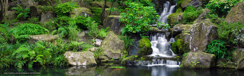 Waterfall in Garden — Green, Serene, Photograph, Rocks, Plants, Stream