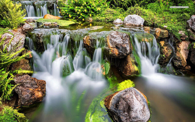 Waterfall in Garden — Green, Serene, Photograph, Rocks, Plants