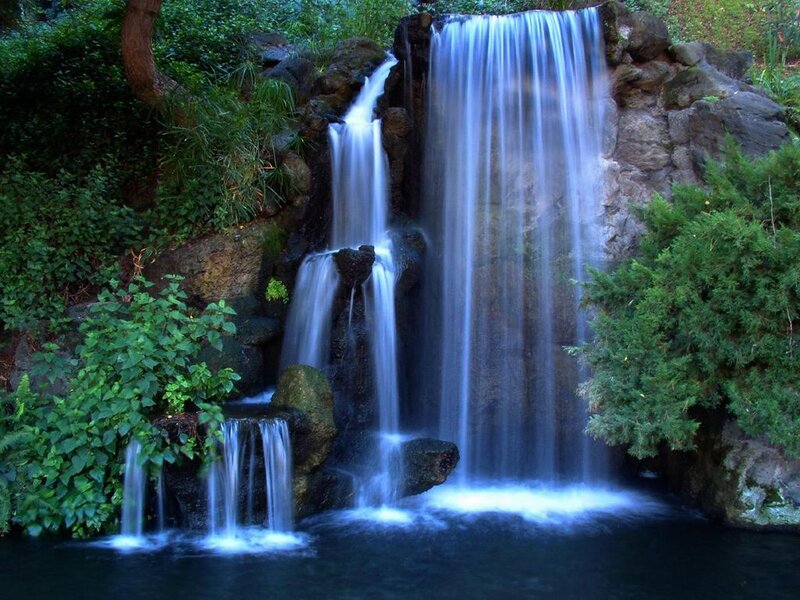 Waterfall in Garden — Green, Serene, Photograph