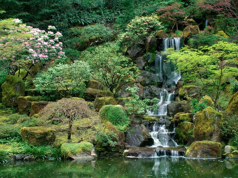 Waterfall in Garden — Green, Serene, Spring, Photograph, Trees, Rocks, Pond