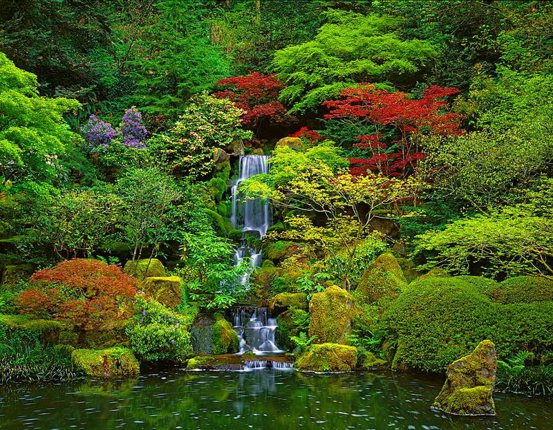 Waterfall in Garden — Green, Serene, Spring, Photograph, Trees