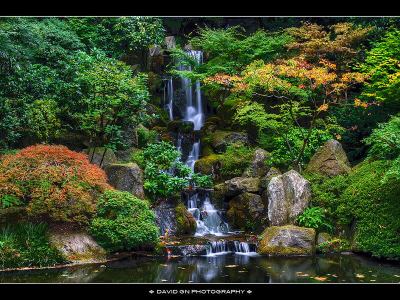 Waterfall in Garden — Green
