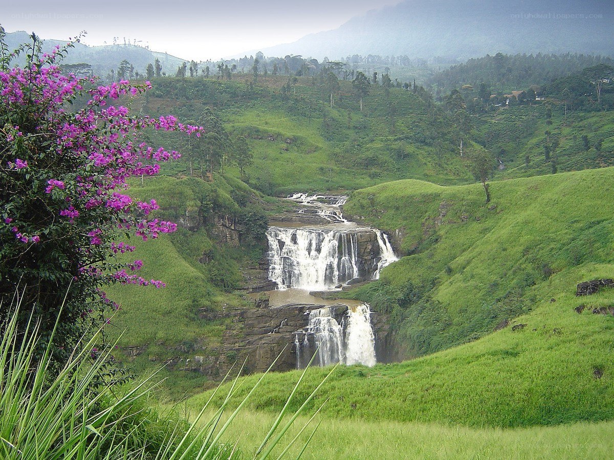 Waterfall in green hills