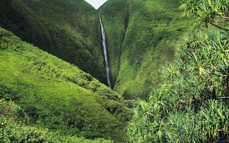 Waterfall in Green Valley — Serene, Afternoon, Photograph, Mountain, Forest, Plants, White