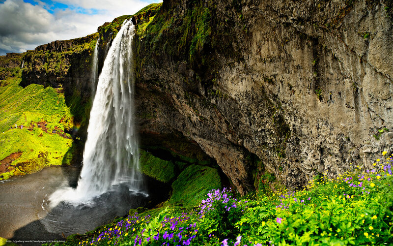 Waterfall in Iceland