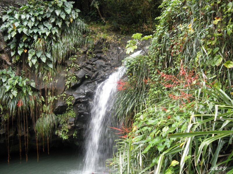 Waterfall in Jungle — Green, Lush, Photograph