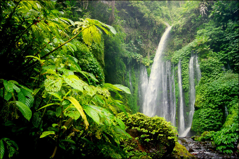 Waterfall in Jungle — Green, Lush, Photograph, Trees, Plants