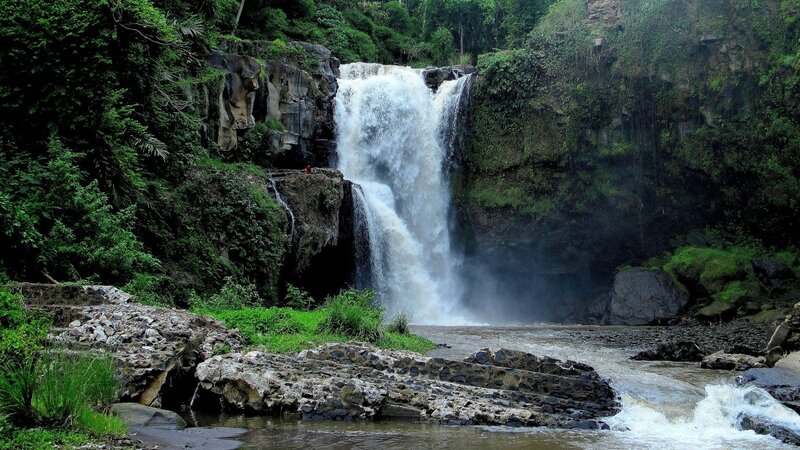 Waterfall in Jungle — Green, Natural, Afternoon
