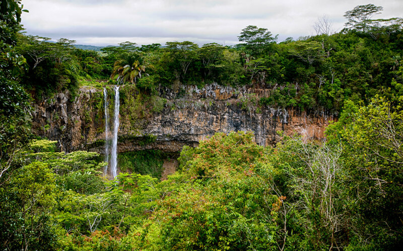 Waterfall in Jungle — Green, Natural, Photograph