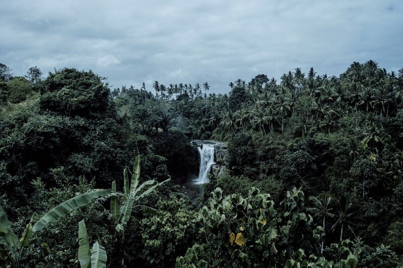 Waterfall in Jungle — Green, Overcast