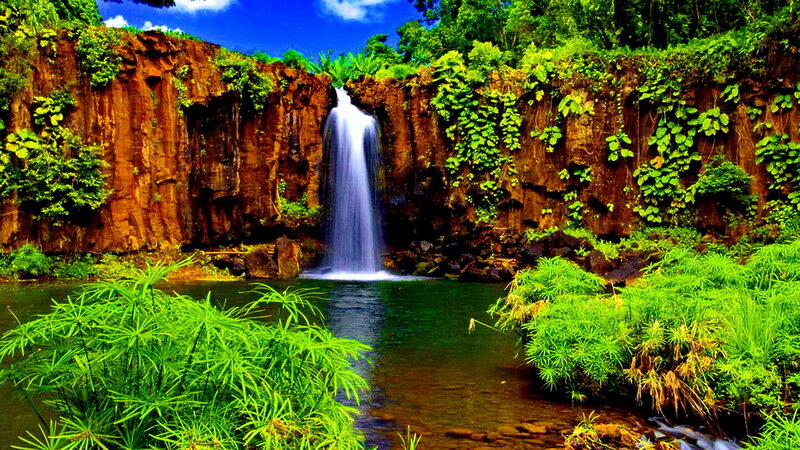 Waterfall in Jungle — Green, Serene, Afternoon, Photograph, Cliff, Pool
