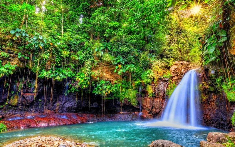 Waterfall in Jungle — Green, Serene, Afternoon, Photograph, Forest, Pool