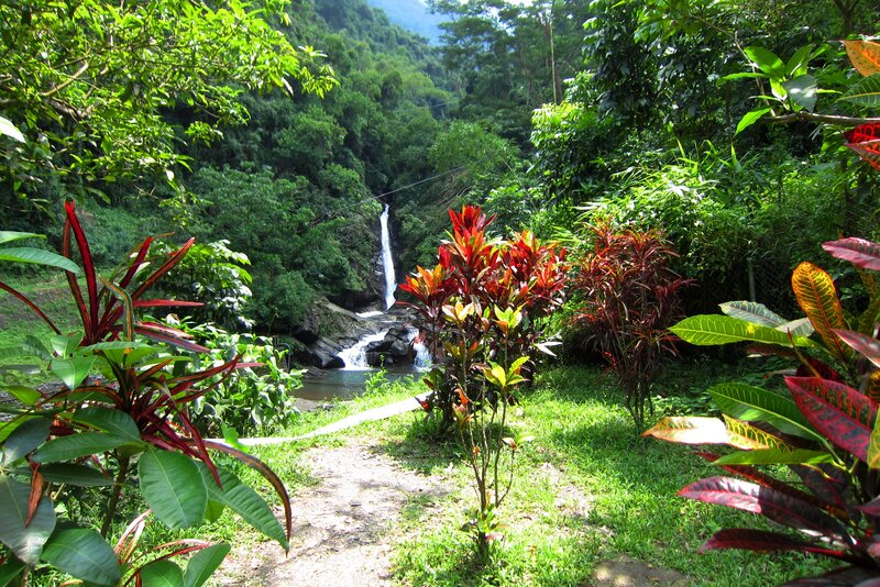 Waterfall in Jungle — Green, Serene, Afternoon, Photograph, Plants, Path