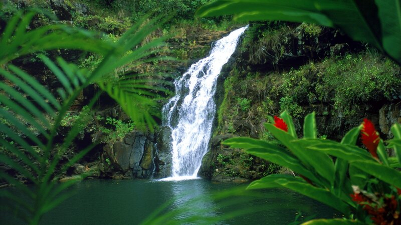 Waterfall in Jungle — Green, Serene, Afternoon, Photograph, Plants, Pool, Rocks, White